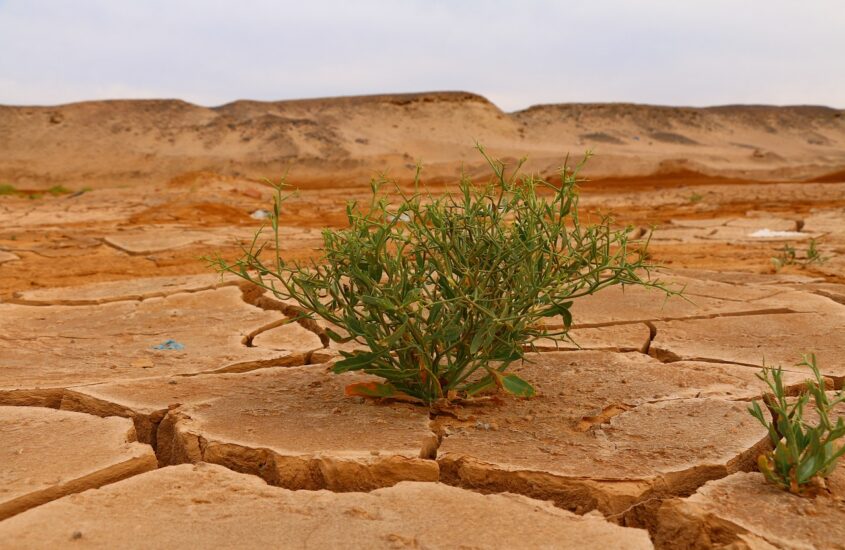 Cambiamenti climatici, politica senza parole